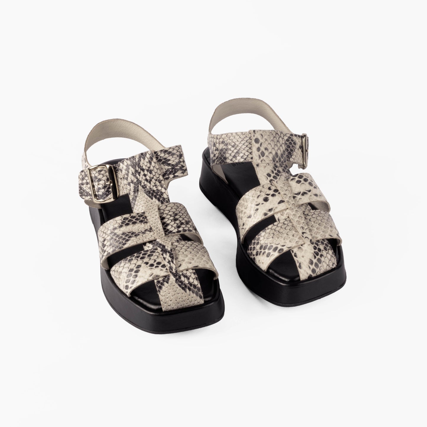 Vinci Shoes Ayla Snake Print Flatforms